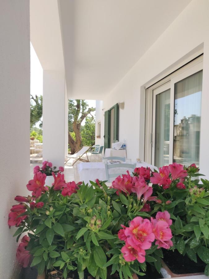 Bed and breakfast Mareulivi